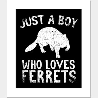 Just A Boy Who Loves Ferrets Posters and Art